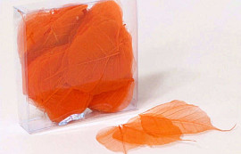 Skeleton Leaves Orange 200pcs 