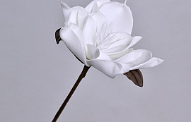 Blume Schaumstoff Weiß, D 16cm
