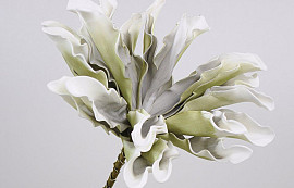 Foam Dracena Wit/Grijs, D 24cm