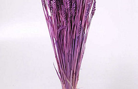 Bouquet Triticum Violet Clair (blé) 70cm
