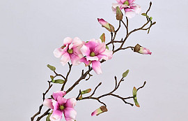 Magnolien Zweig Weiß/Rosa 78cm
