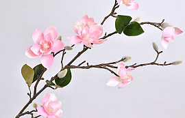 Tige de Magnolia 90cm Rose