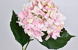 Hydrangea Pink-White 68cm