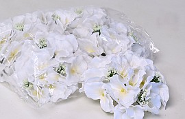 Hortensia Kop D18cm Wit