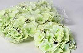 Hortensia Kop D18cm Groen