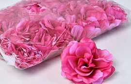 Rose D10cm Pink