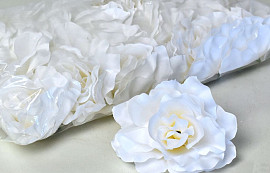 Rose D10cm Blanc