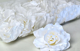 Rose D10cm White