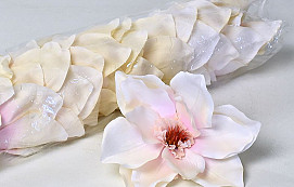 Magnolia D17cm Creme-Roze