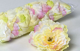 Peony D13cm Yellow