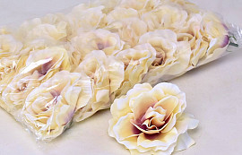 Rose D10cm Creme/Pourpre