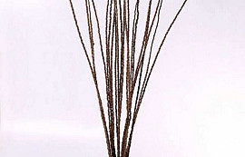 Bacaba Grass 20pcs 90-115cm