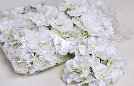 Hortensia Kop D14cm Wit