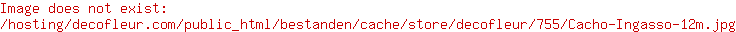 Cacho Ingasso 1,2m