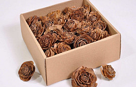 Cedar Roses 50pcs