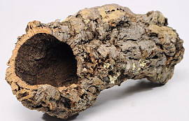 Cork Tube XL L50-70cm
