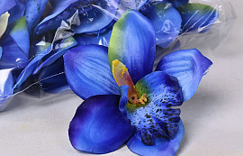 Orchidée Bleu D14cm