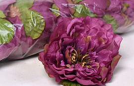 Pivoine D14cm Vintage Violet