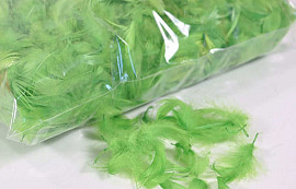 Feathers Green 100gr.