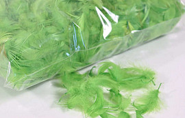 Plumes Vert 100gr.