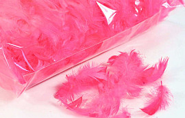 Feathers Pink 100gr.
