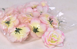 Mini Rose Pink D5cm