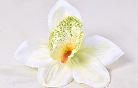 Orchidee D14cm Crème