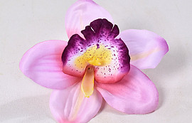 Orchid D14cm Pink