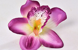 Orchidee Lila D14cm