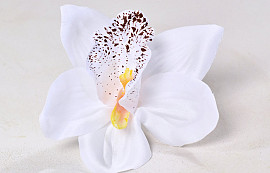 Orchid White D14cm