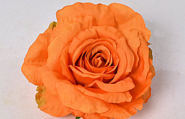 Rose D15cm Orange