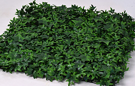 Ivy mat 50x50cm