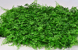Grüne Pflanze Matte Fern/juniperus 50x50cm