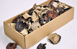 Golden Mushroom 200gr.