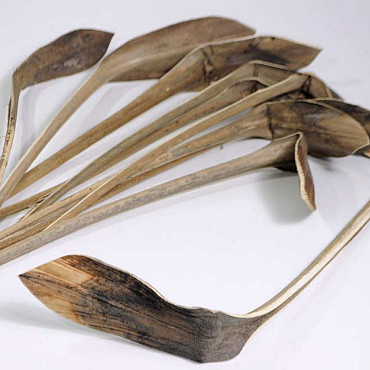 Schuhlöffel 35-60cm