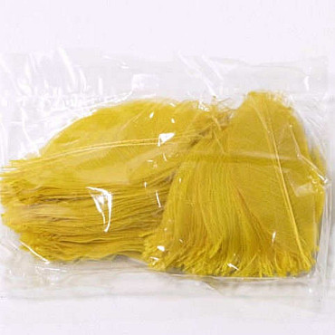 Skeleton Leaves 12cm geel 200-Pack