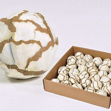 Sola Cabbage Ball 6cm 27-Pack