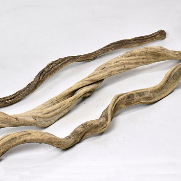 Liaan Vine 80cm