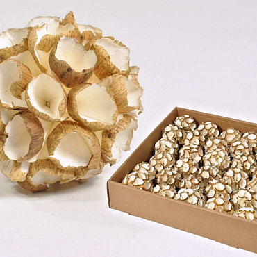 Sola Ball Kalika 6cm 15-Pack