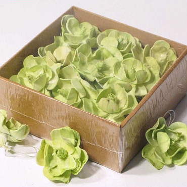Sola Magnolia 6cm Green 18pcs
