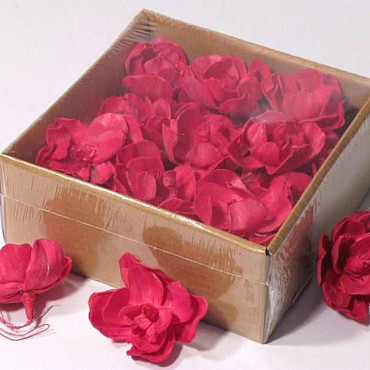 Sola Magnolia 6cm Red 18pcs