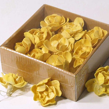 Sola Magnolia 6cm Jaune 18pcs