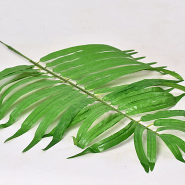 Palm Green 82cm