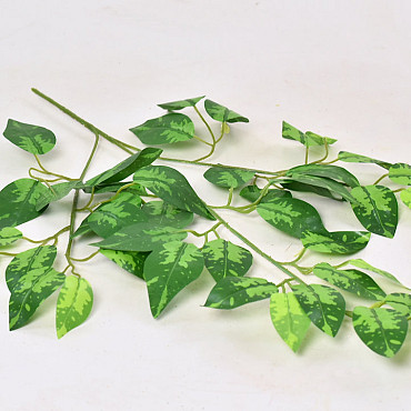 Ficus Branch 60cm