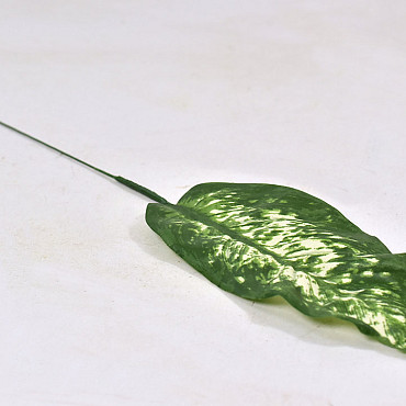 Dieffenbachia Leaf Green 21/41cm