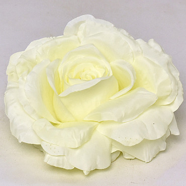 Rose D16cm Cream