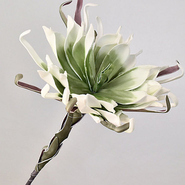 Fleur en mousse 80cm Blanc/Vert