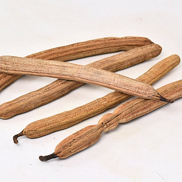 Stick Fruit 40cm 5St.