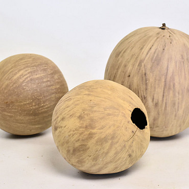 Fruit de Ballon crème D13-16cm