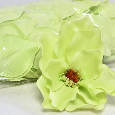 Magnolia D17cm Licht Groen